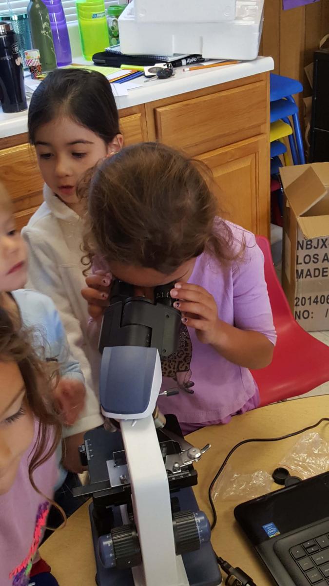 Developmental Kindergarten The Sherman Oaks Nursery School